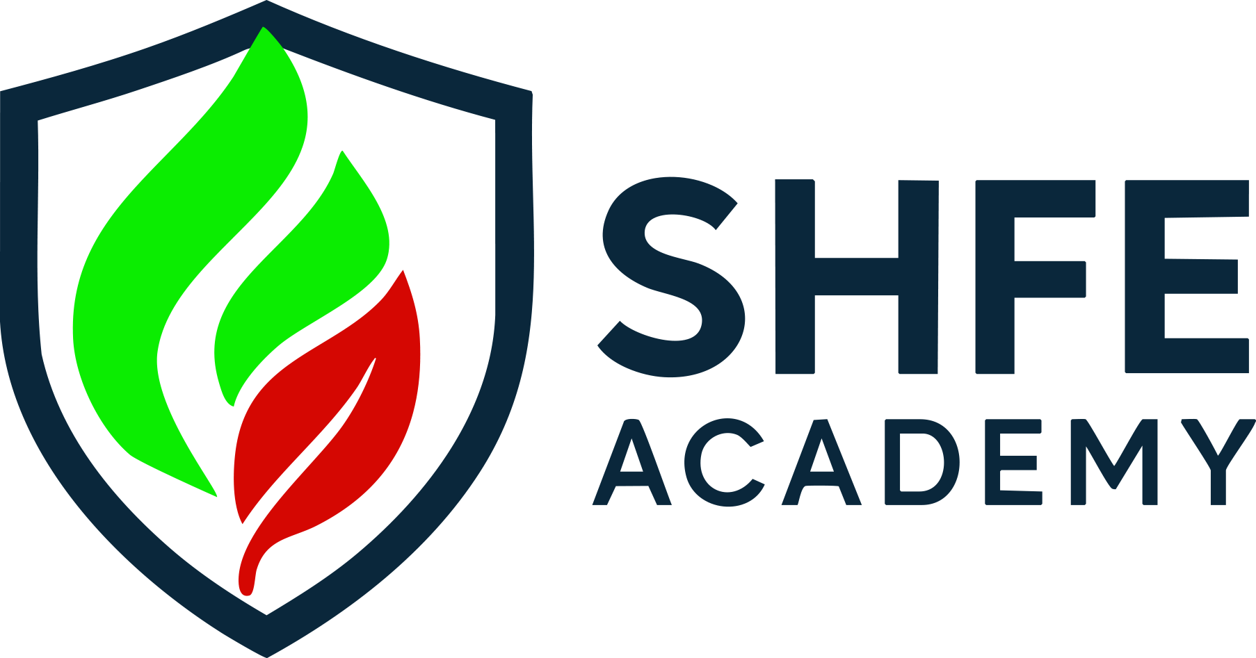 SHFE Academy logo
